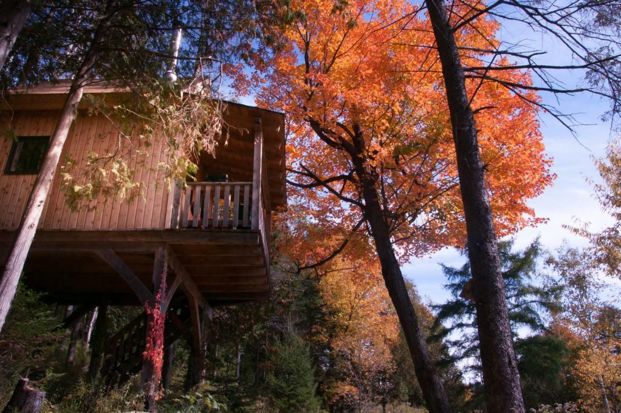 Les Cabanes Du Trappeur Wentworth-Nord Exterior foto